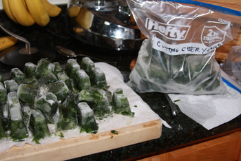 Herbs frozen in an ice cube tray