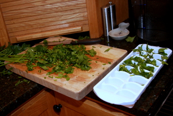 Freezing Herbs (Cutting Celery)